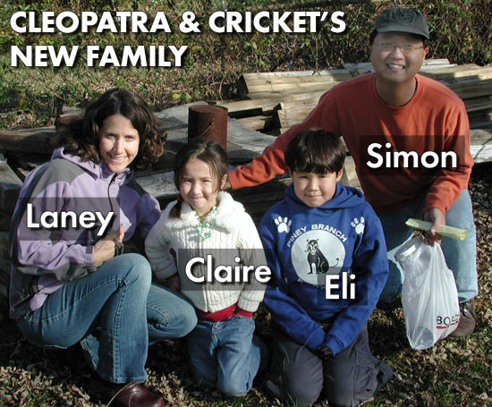 New Family
